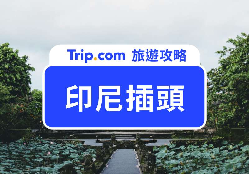 印尼插頭