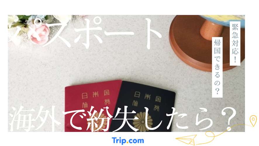 パスポート 海外 紛失