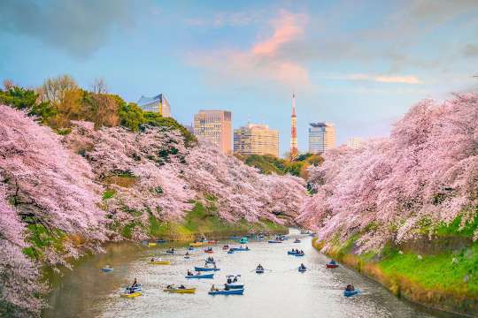 Ueno Park
