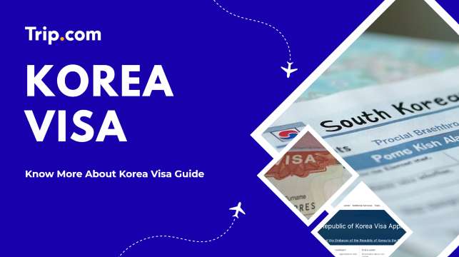 Korea Visa Guide