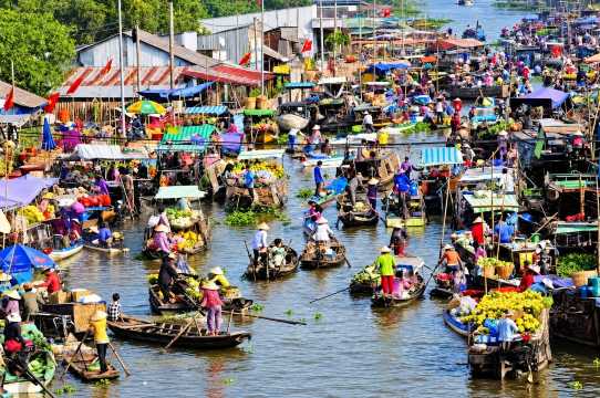Mekong Delta