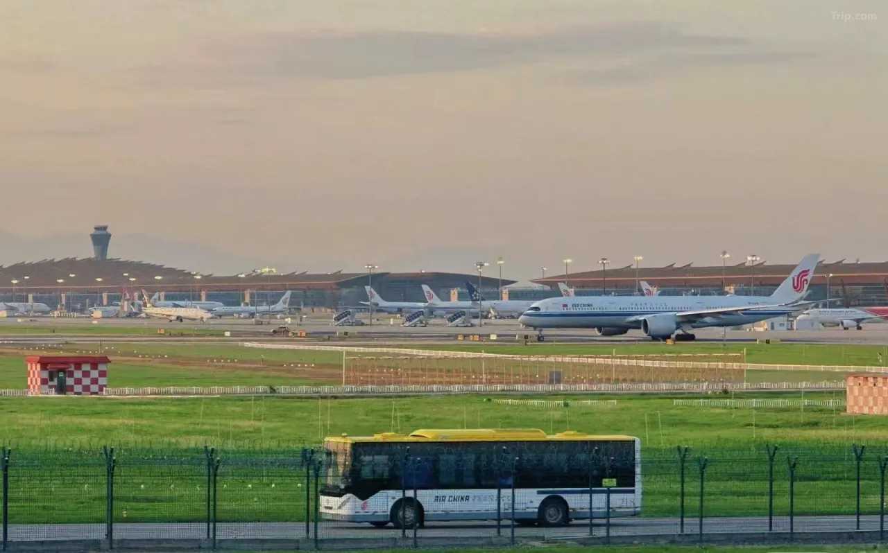 Beijing Airport Bus