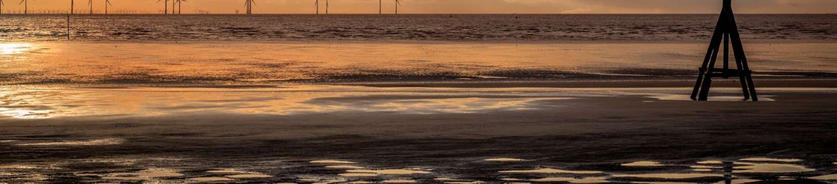 Trains to Crosby Beach and everything you need to know