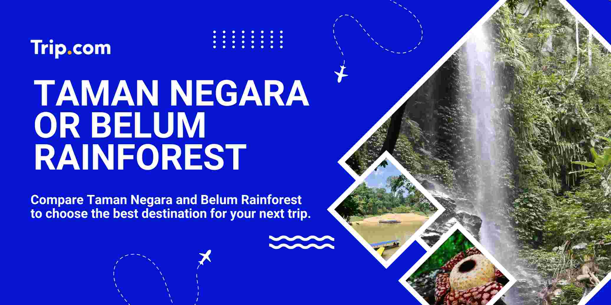 Taman Negara or Belum Rainforest | Trip.com