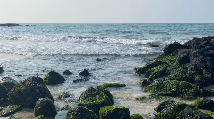หาดกิมนยอง Gimnyeong Beach