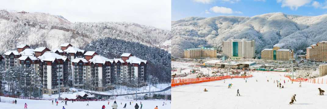 Yongpyong atau Vivaldi Park, Mana yang Harus Dipilih?