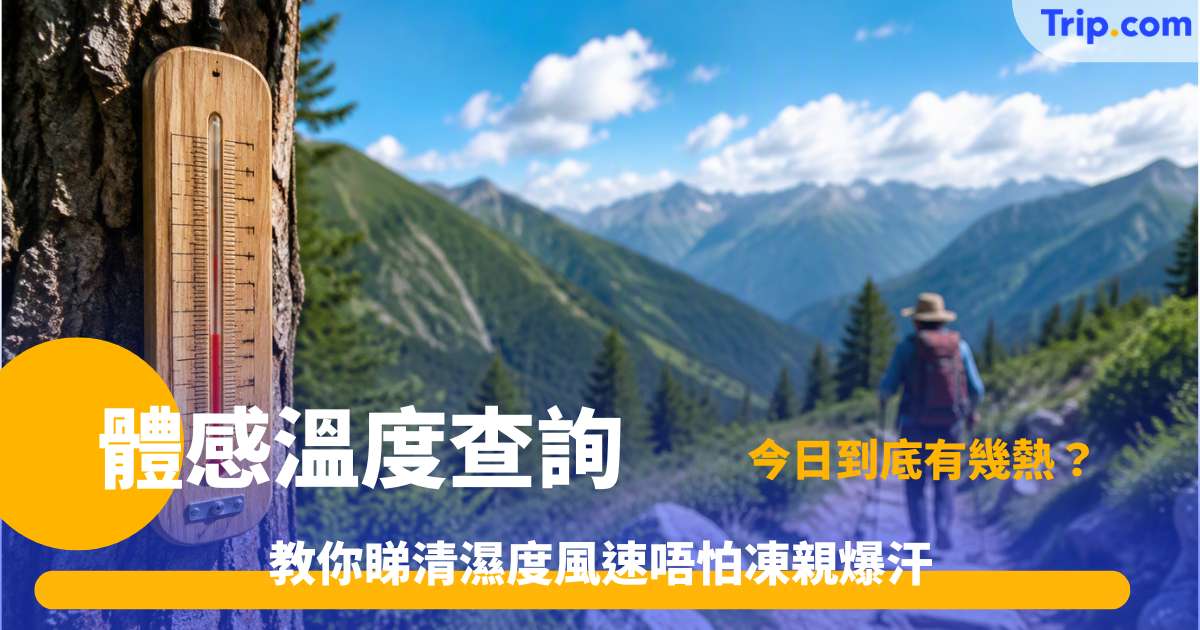 體感溫度查詢 | 睇呢篇就夠！教你睇清濕度風速唔怕凍親爆汗 | Trip.com