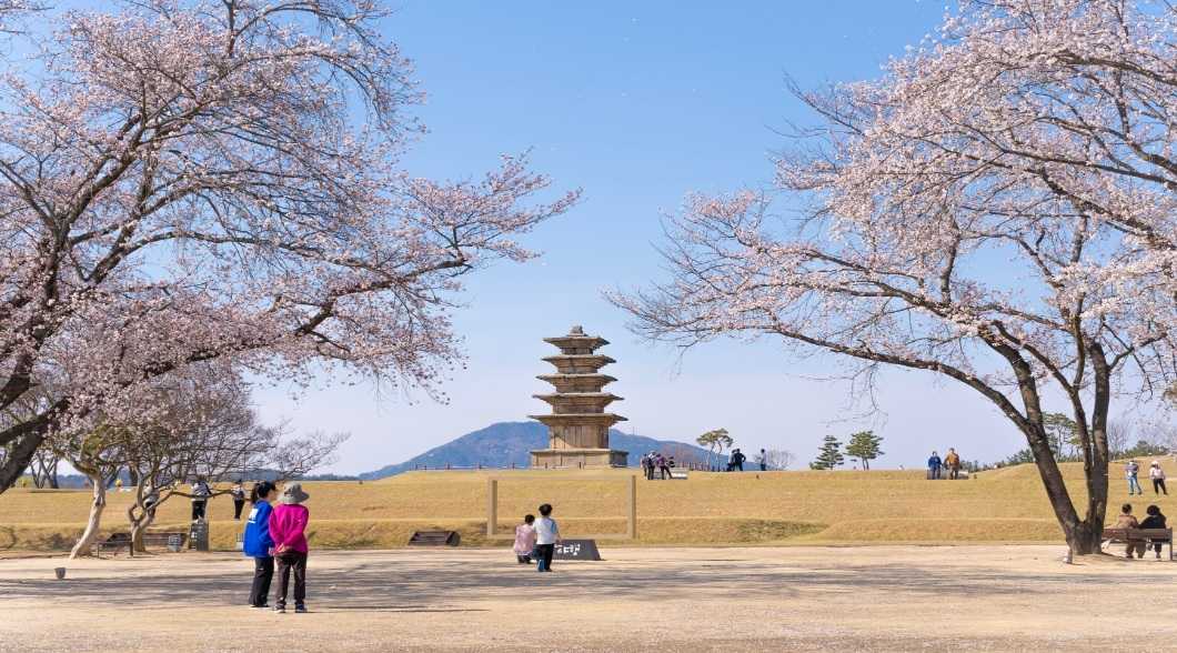Gunsan vs Iksan untuk Wisata Keluarga