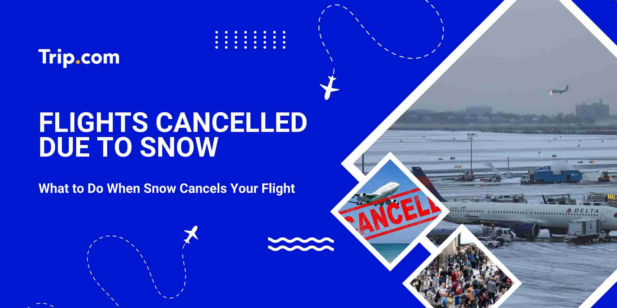 Flights Cancelled Due to Snow