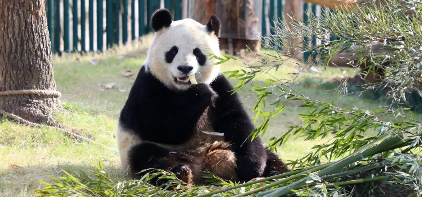 Things to Do in Shanghai