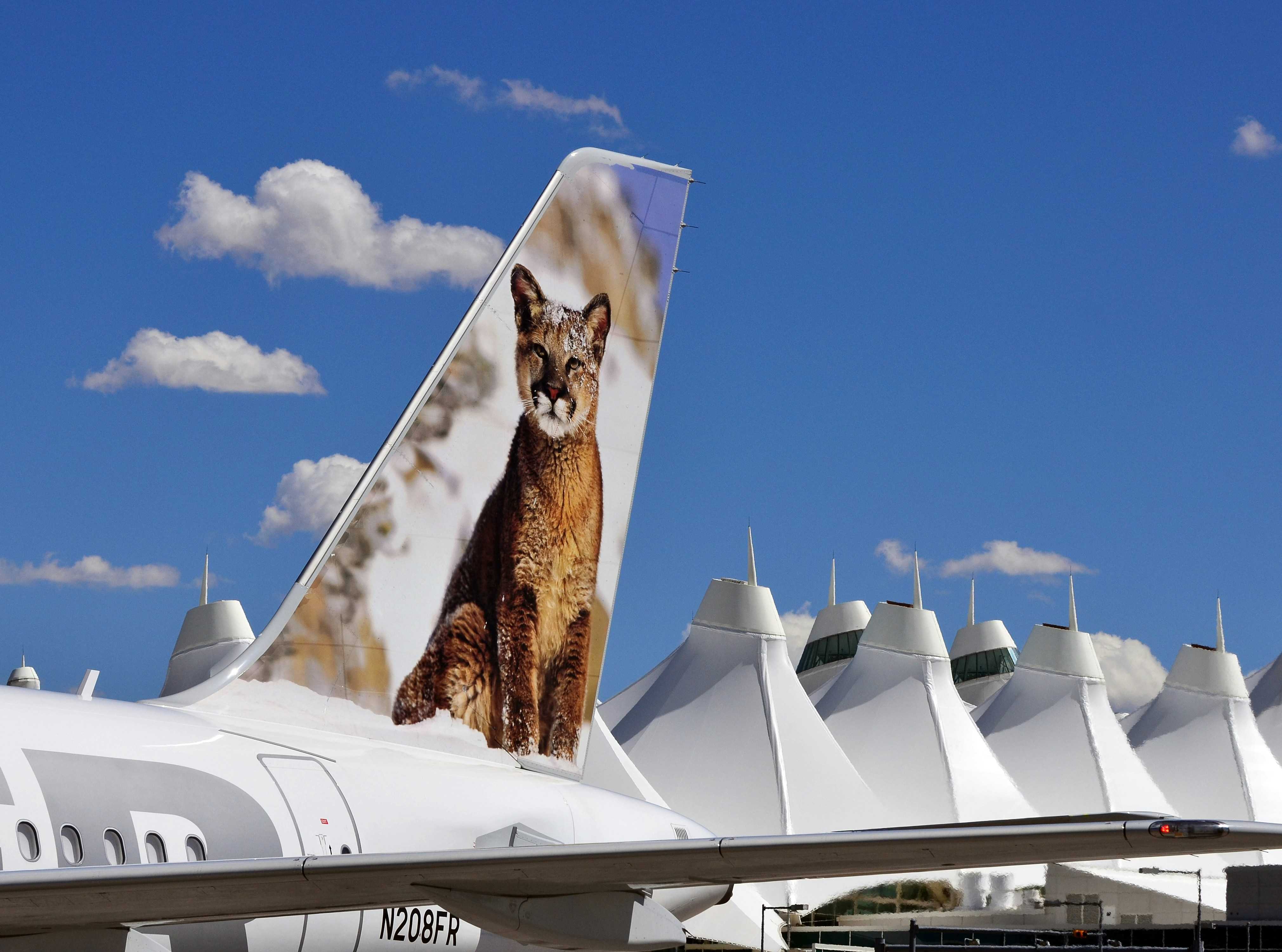 Airline Approved Top Pet Carriers Airline