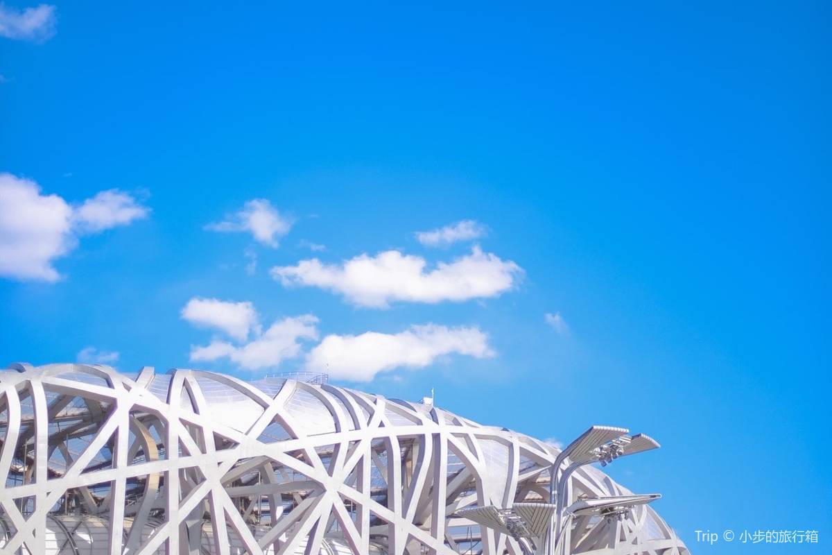 Птичье гнездо