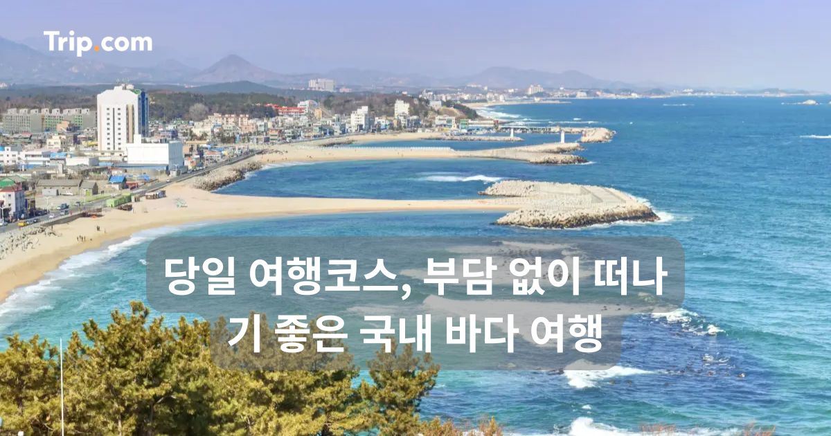 당일 여행코스 추천