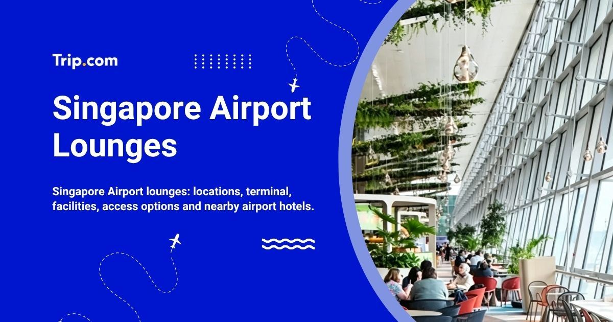 Singapore Airport Lounges: Locations, Facilities & Access