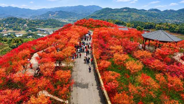 Chongqing Weather in Autumn (September to November)