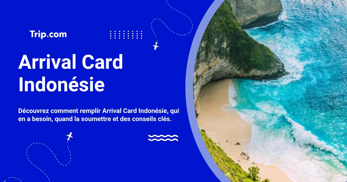 Arrival Card Indonésie