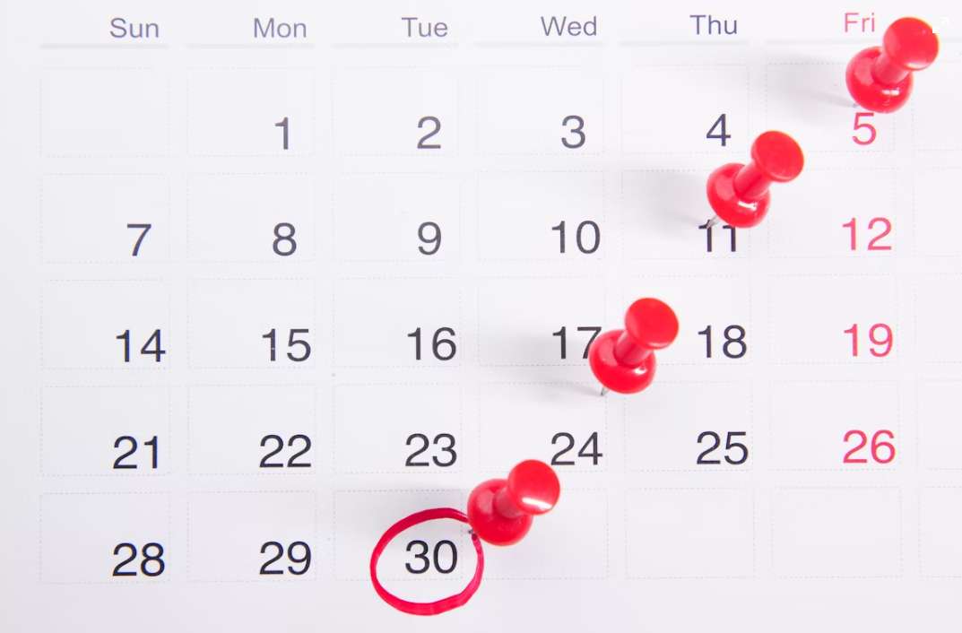 트립닷컴 최저가 보장 요일 편