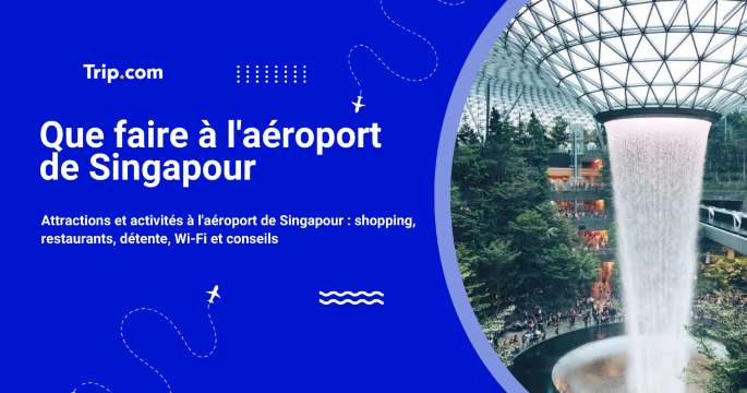 Escale à l’aéroport de Singapour en 2026 : Que faire ?