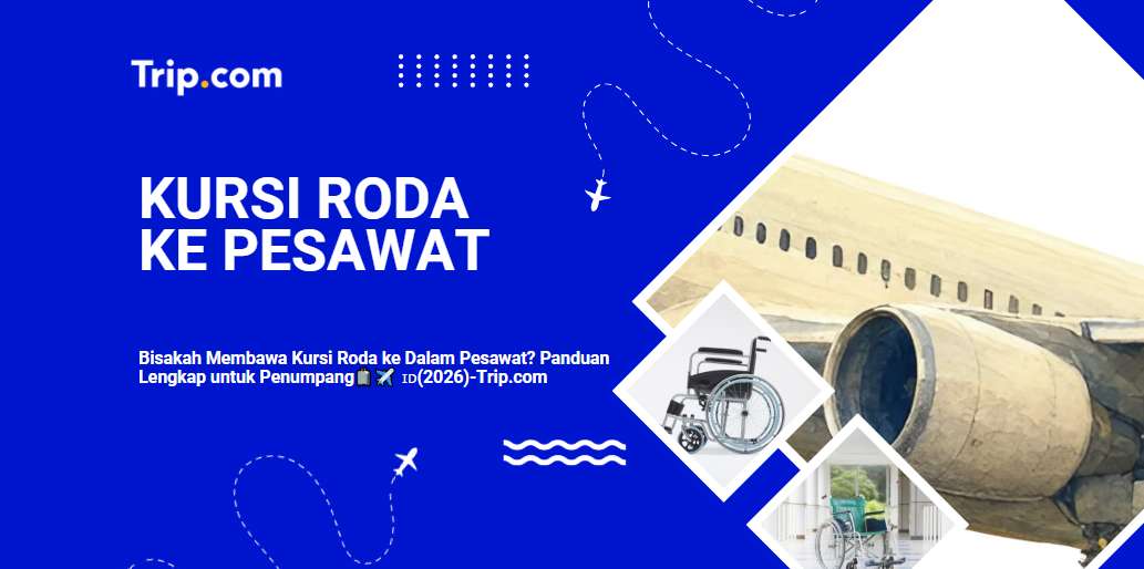 Bisakah Membawa Kursi Roda ke Dalam Pesawat? Panduan Lengkap untuk Penumpang| Trip.com