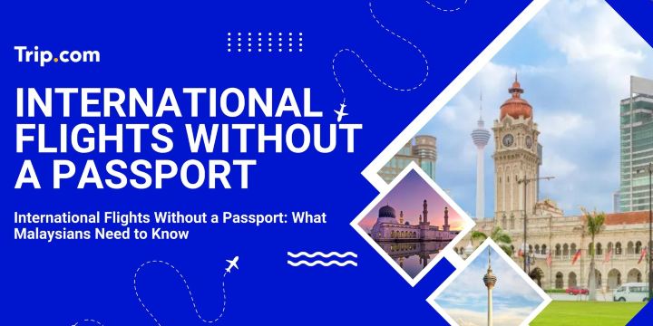 Flying Internationally Without a Passport | Trip.com