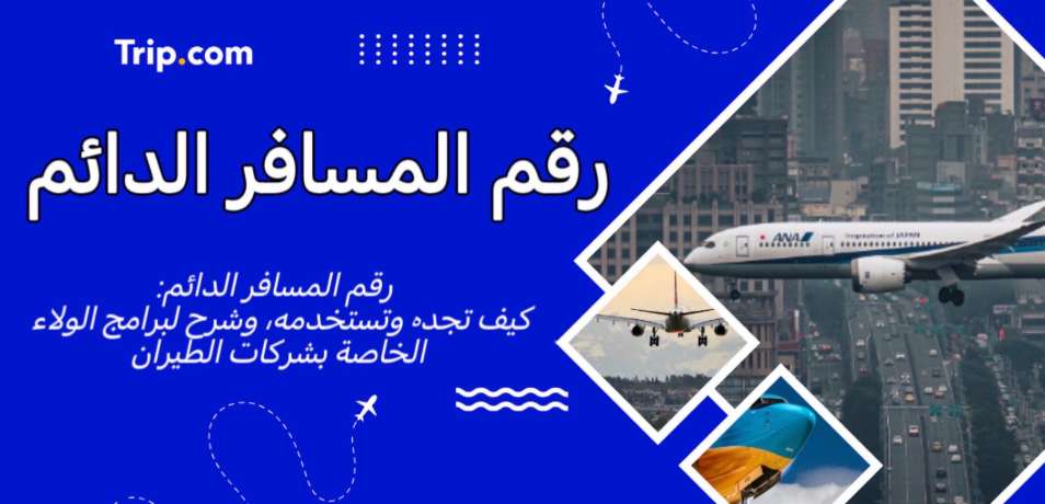 رقم المسافر الدائم: كيف تجده، تحصل عليه وتستخدمه | Trip.com