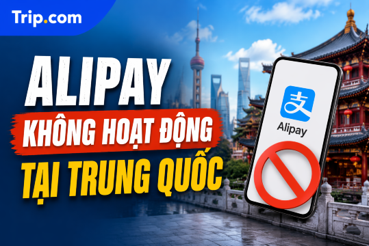 Alipay không hoạt động tại Trung Quốc? 6 Nguyên nhân & Cách khắc phục nhanh nhất (2026) | Trip.com