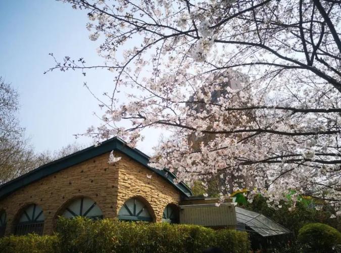 魯迅公園