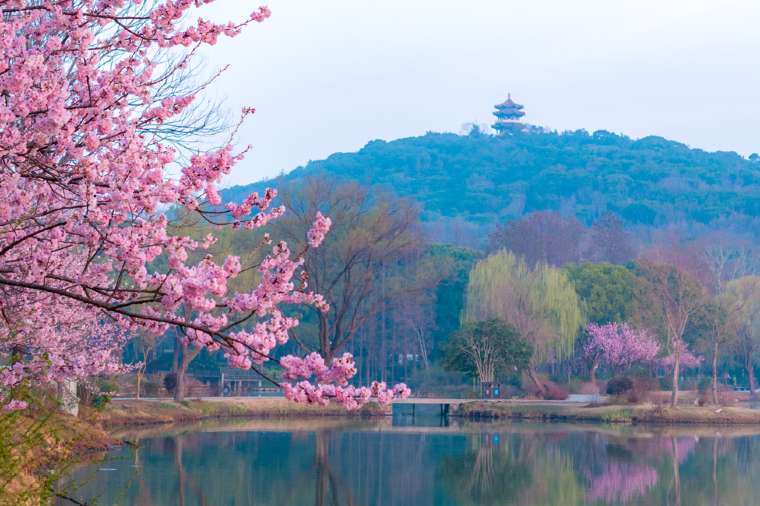 Best Day Trips from Nanjing