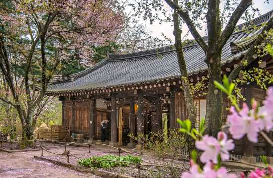 Nami Island spring