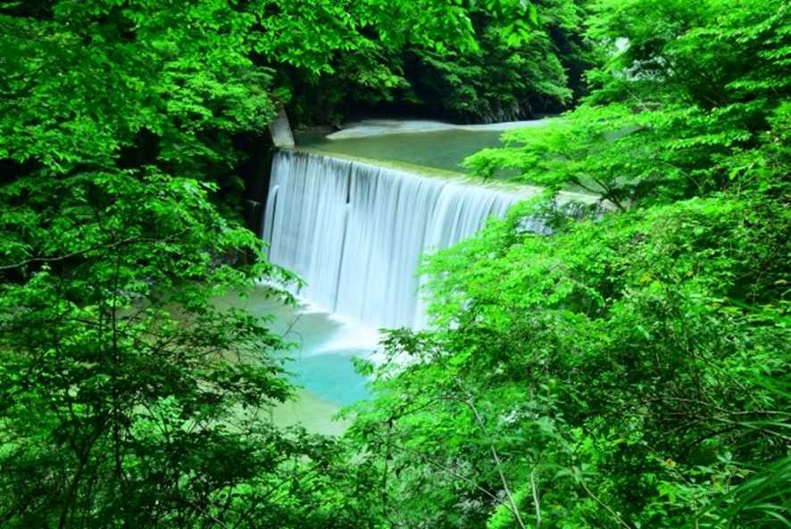 西丹沢(神奈川・山北町)
