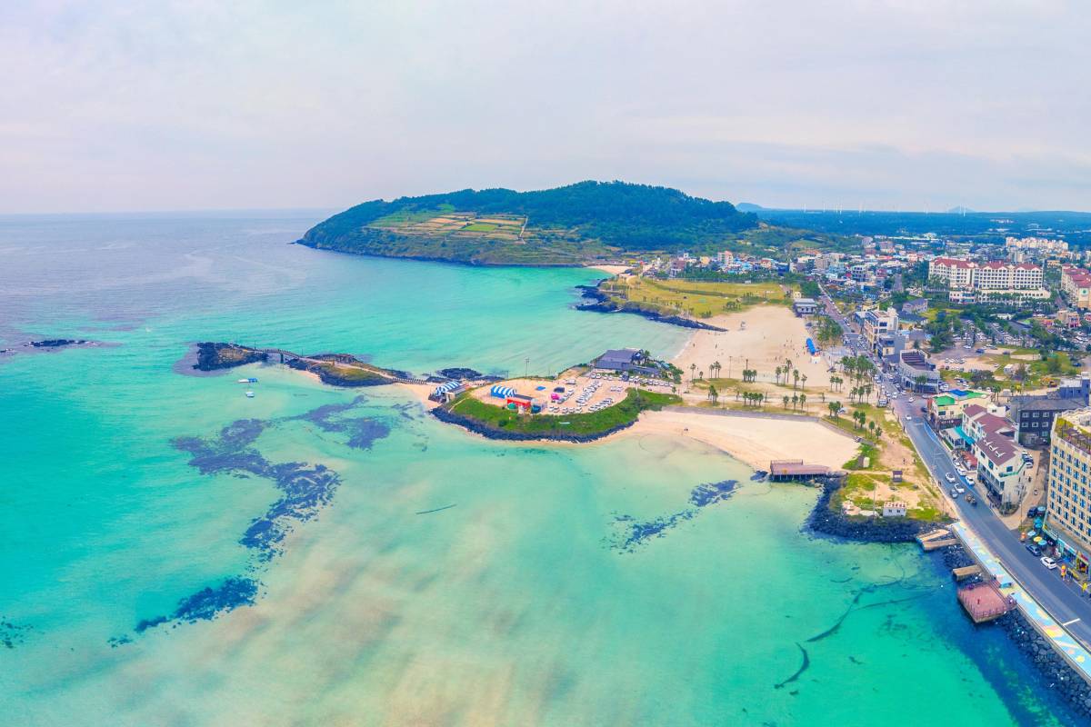 대구 제주 항공권
