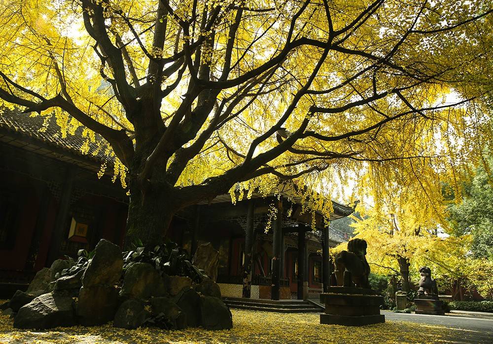 Wuhou Shrine