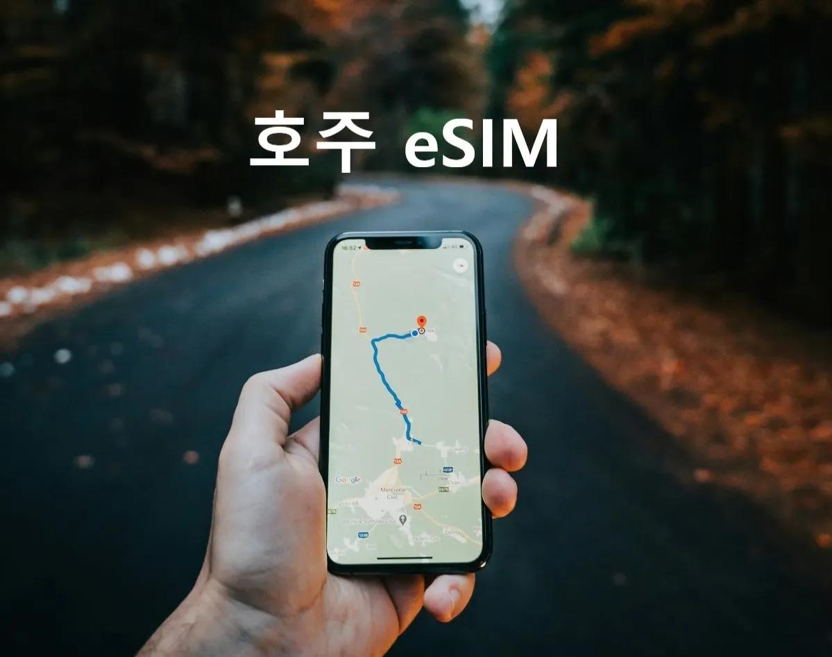 호주 & 뉴질랜드 이심