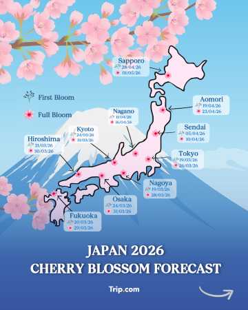 Japanese Cherry Blossom Latest Forecast 2026