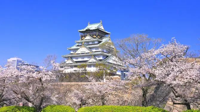 Kesimpulan Japan Arrival Card