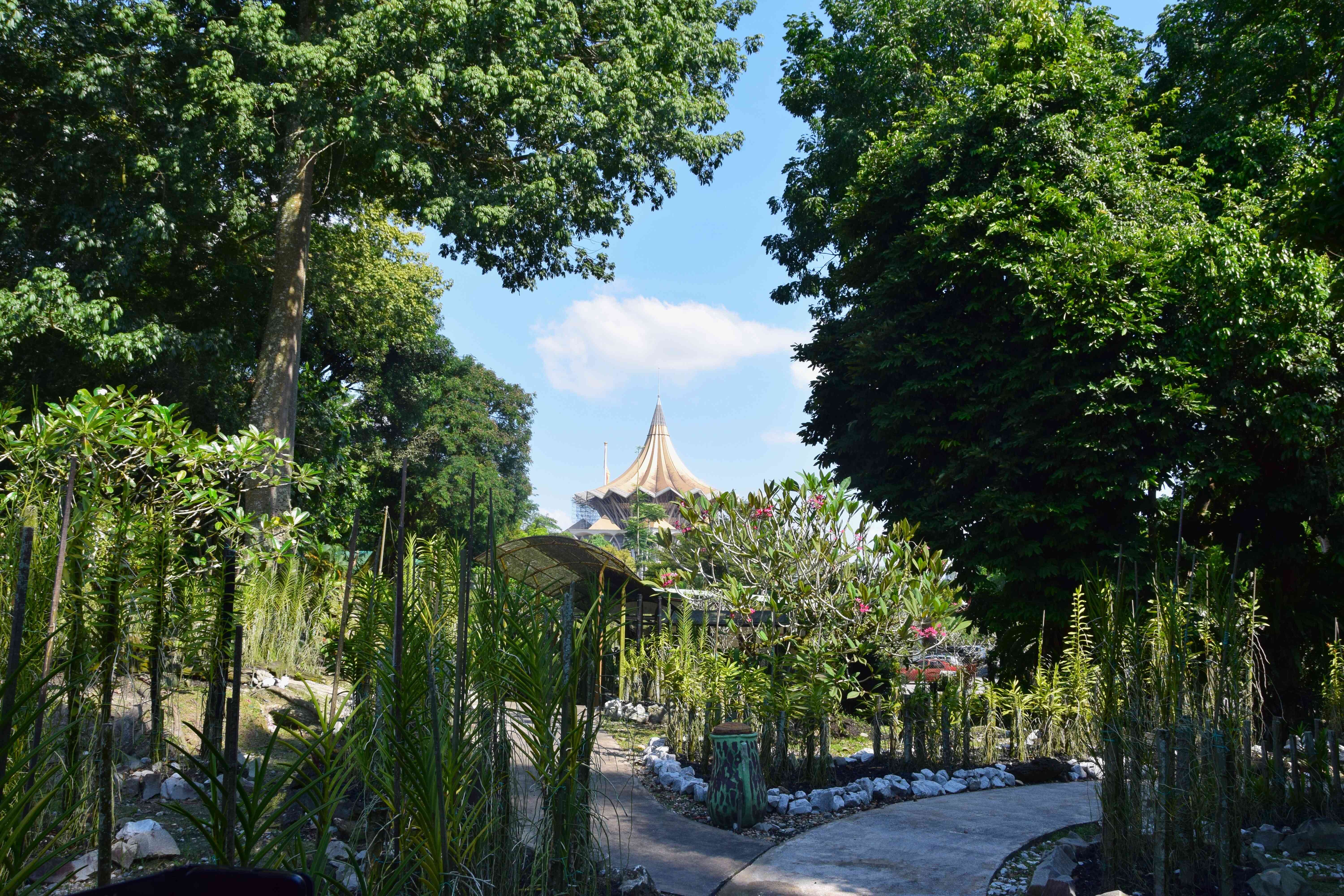 Sarawak Orchid Garden