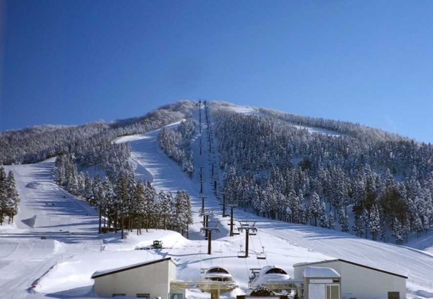 福井県|スキージャム勝山