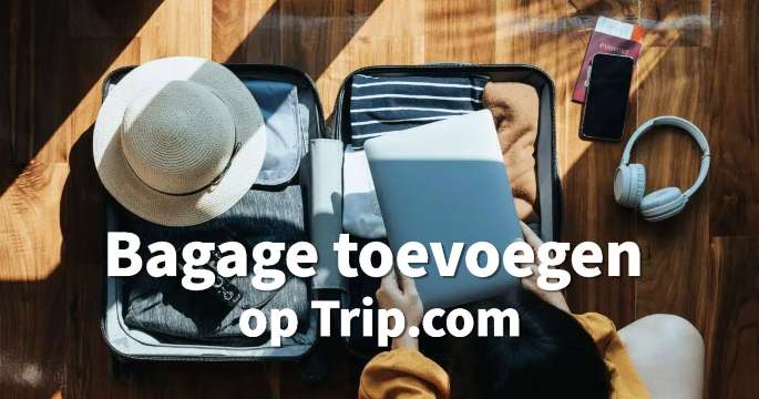 Bagage toevoegen & bijboeken op Trip.com