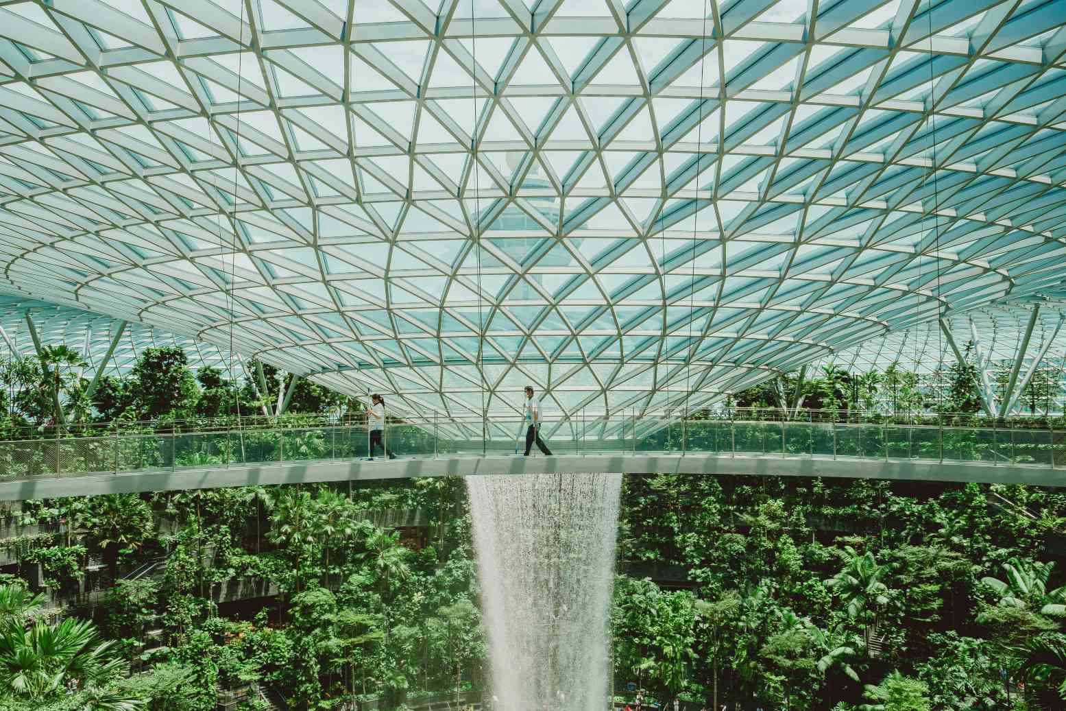 Canopy Bridge @ Jewel Changi Airport