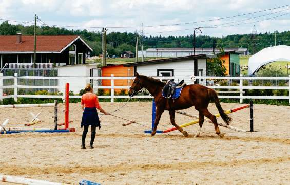 Какие есть удобства в глэмпинге в Москве