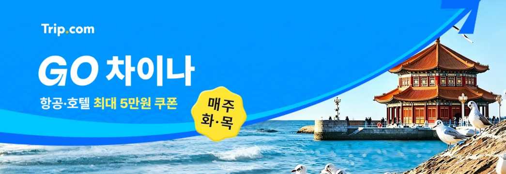중국 여행 할인