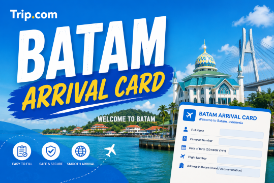 Batam Arrival Card
