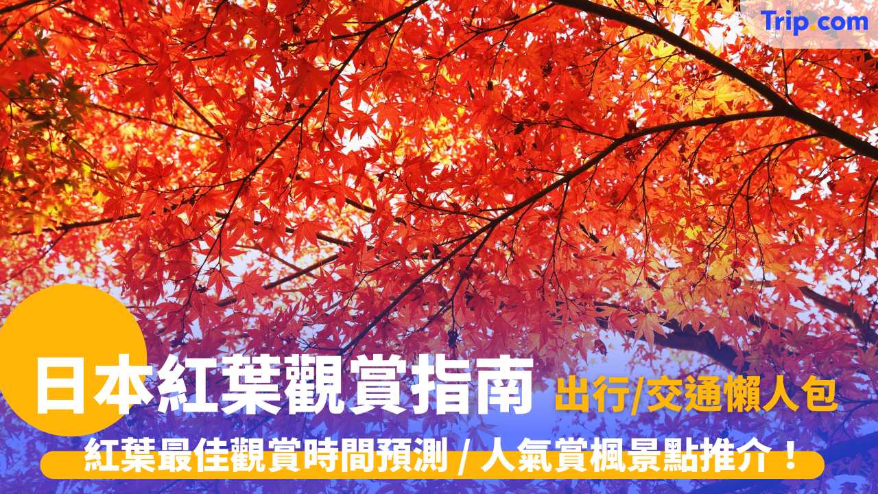 日本紅葉觀賞指南