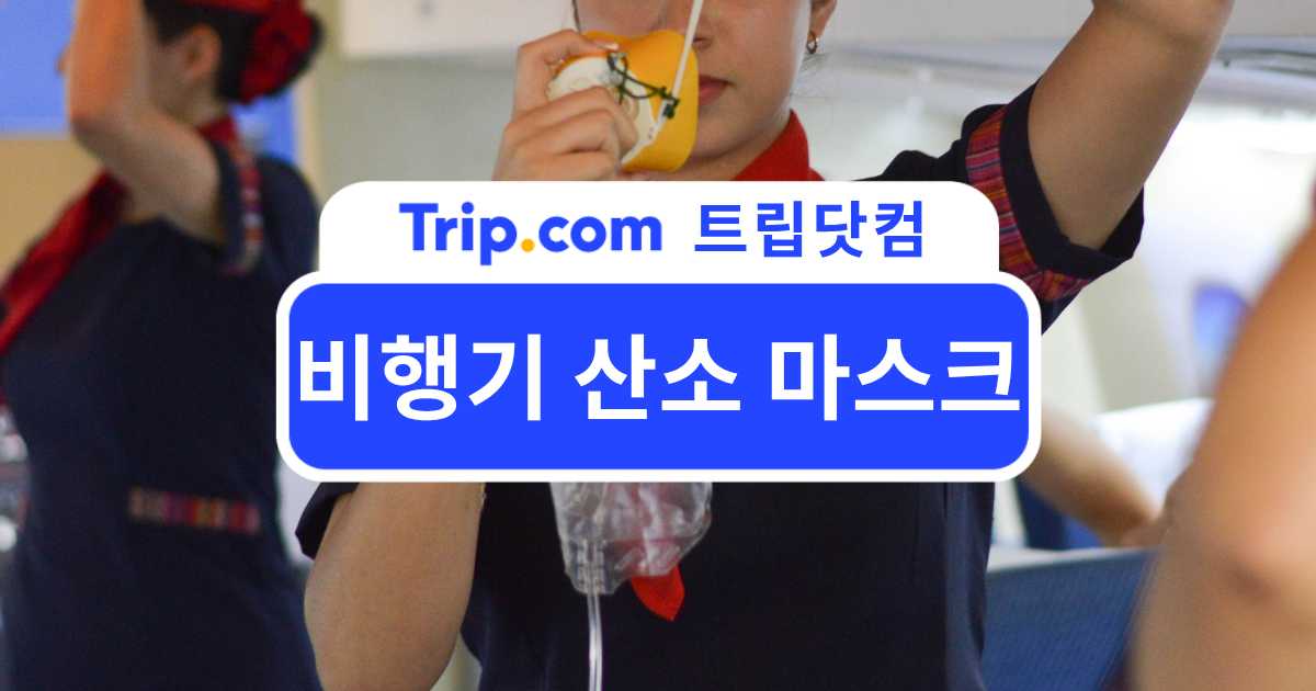 비행기 산소 마스크 가이드