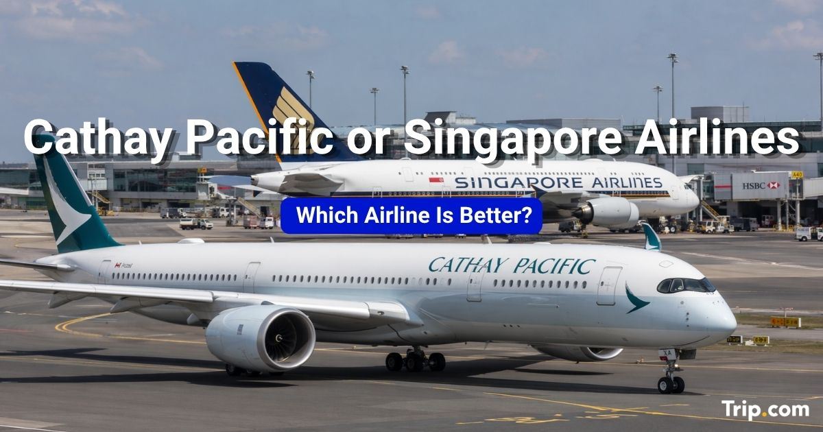 Cathay Pacific or Singapore Airlines: Which Airline Is Better?