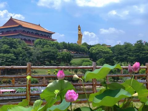 Лотосовые горы в Гуанчжоу: как добраться, фото, путеводитель| Trip.com