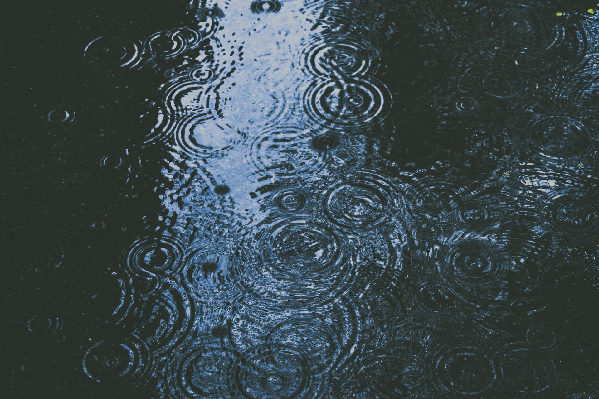 trip.com
