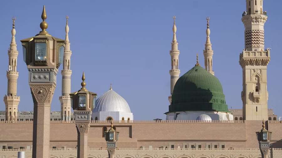 المدينة المنورة