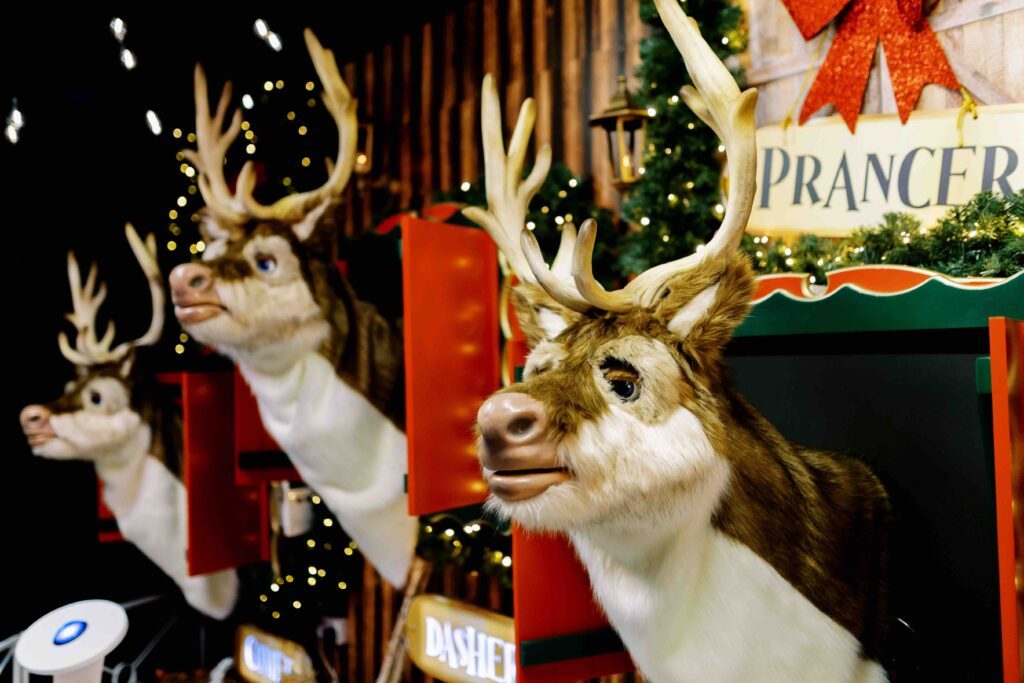 Reindeer Town