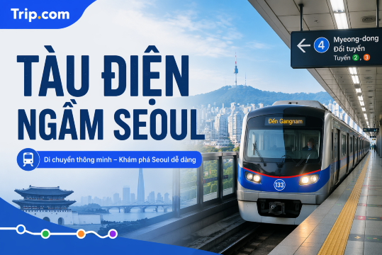 Cẩm nang tàu điện ngầm Seoul 2026: Bản đồ, Giá vé & Các tuyến đường | Trip.com